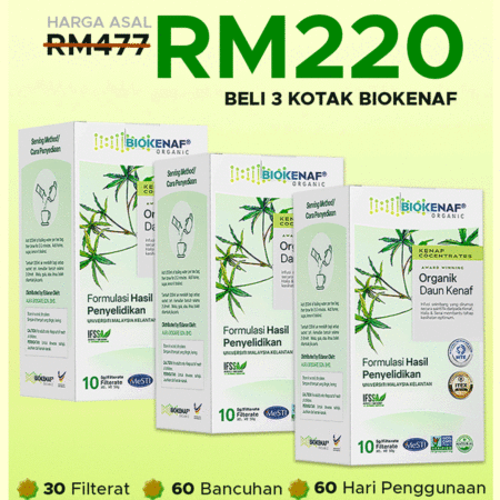 Biokenaf Pakej Rawat (3 Kotak)